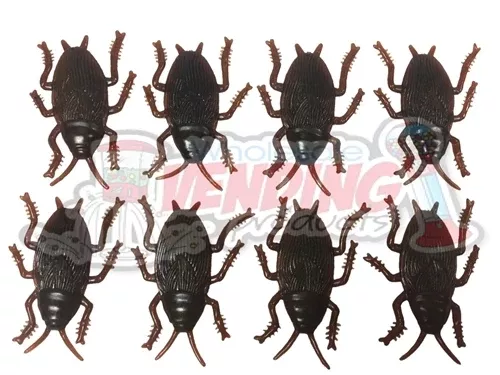 72 Cockroaches