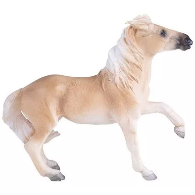 Brumby Mare (Mojo)