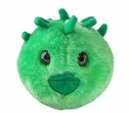 CHLAMYDIA GIANT MICROBES