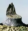 CUT STUMPS (14)