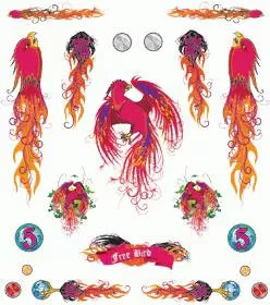 DRY TRANSFER FREE BIRD