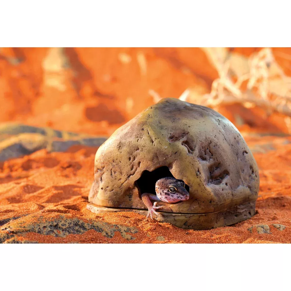 Exo Terra Gecko Cave