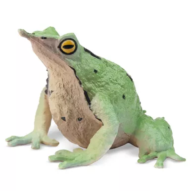Frog - Darwin's (Toymany)
