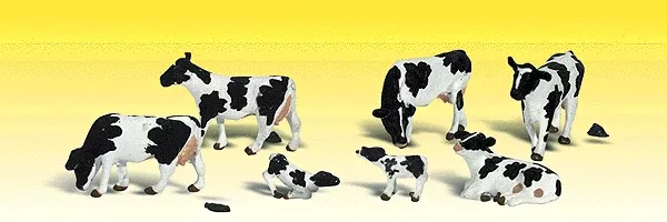 Holstein Cows