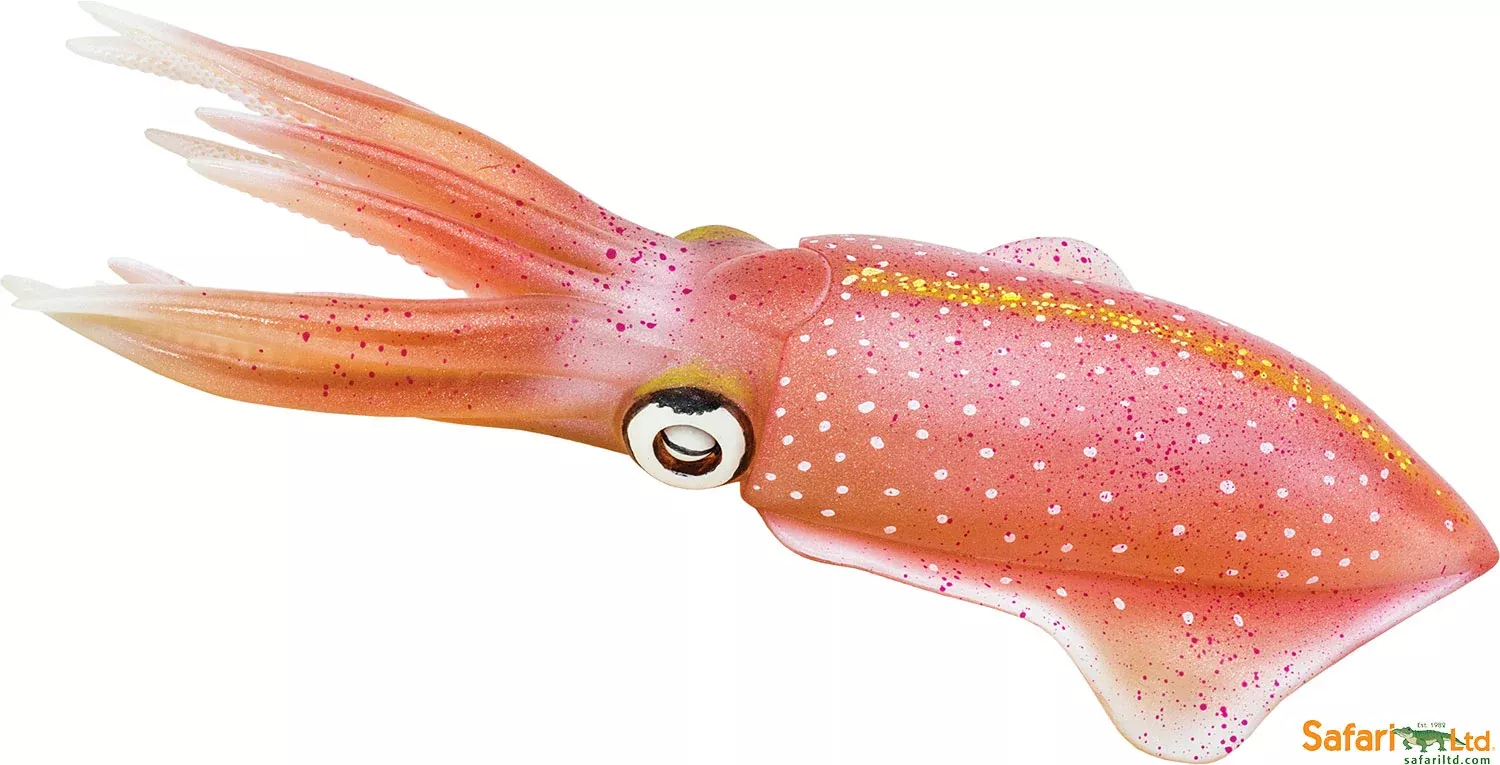 Incredible Creature Reef Squid