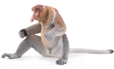Monkey - Proboscis Monkey (Toymany)
