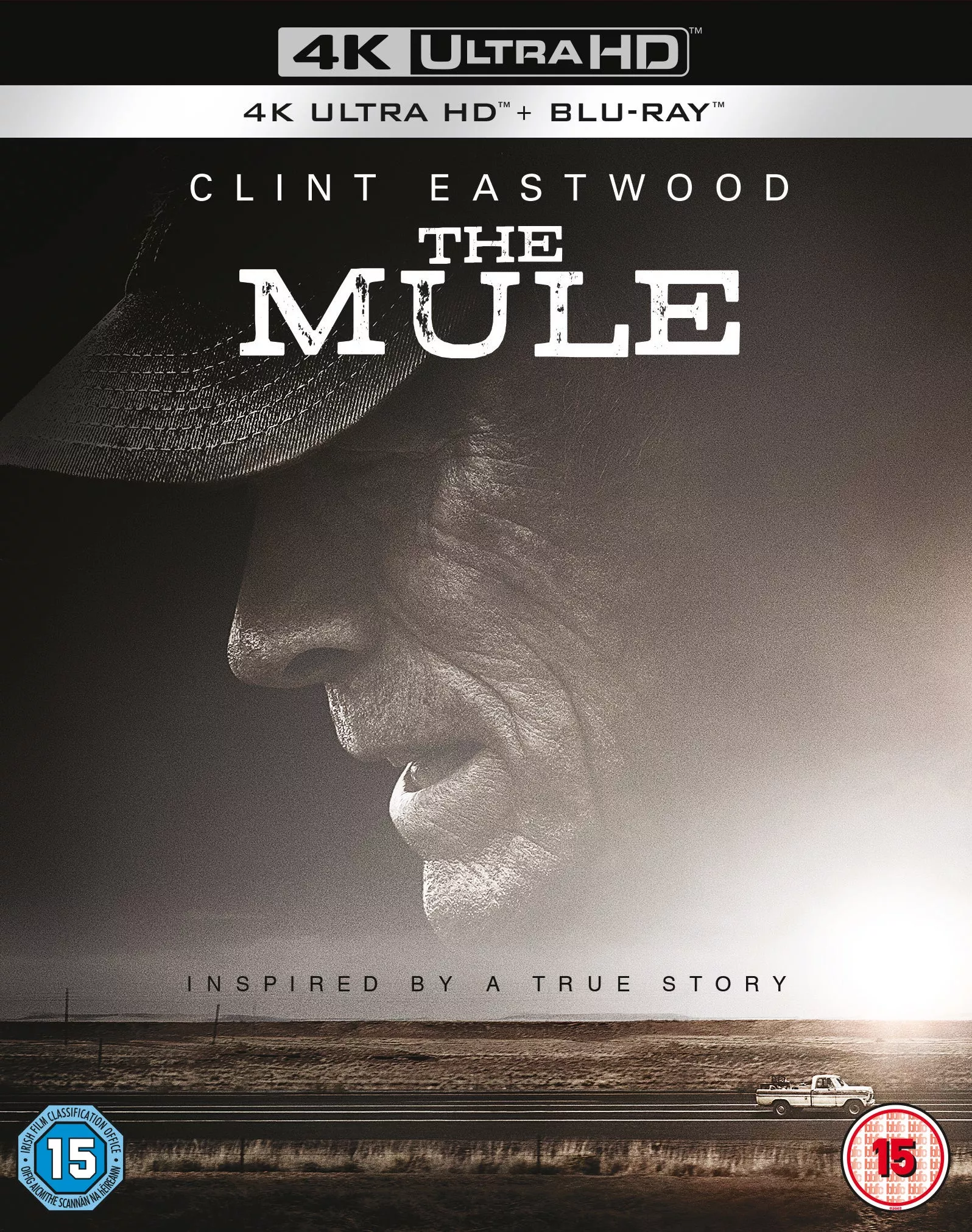 Mule