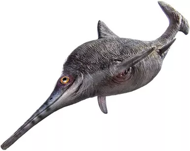 Ophthalmosaurus - Brook (PNSO)