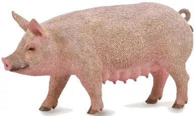 Pig - Sow (CollectA)