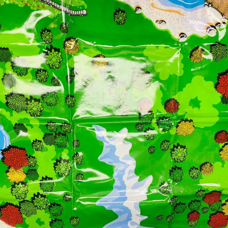 Thomas Playmat (2001) - Used