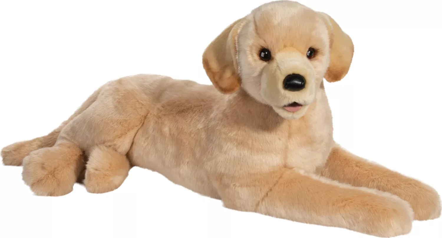 Yellow Lab Sadie