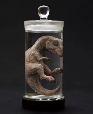 zzTyrannosaurus rex - Wet Specimen Oddity (REBOR)